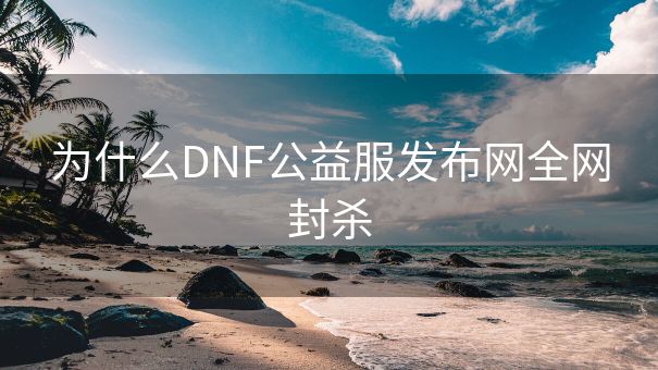 为什么DNF公益服发布网全网封杀