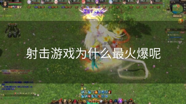 射击游戏为什么最火爆呢