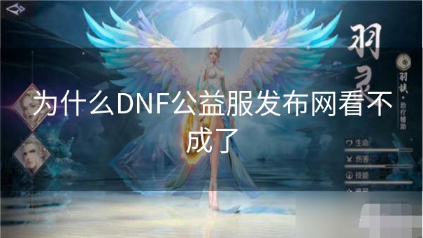 为什么DNF公益服发布网看不成了