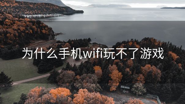 为什么手机wifi玩不了游戏