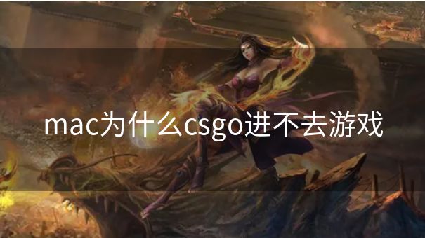 mac为什么csgo进不去游戏