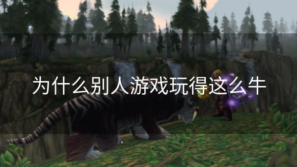为什么别人游戏玩得这么牛
