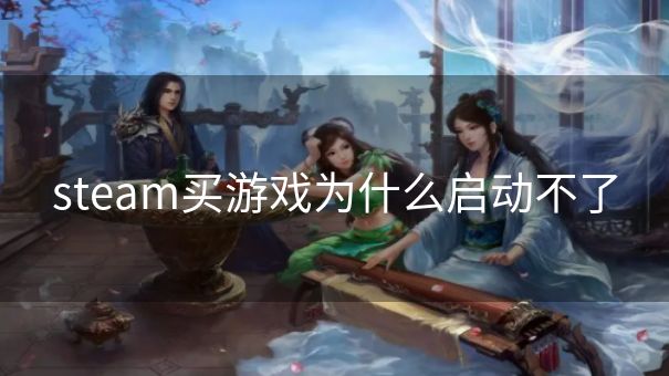 steam买游戏为什么启动不了