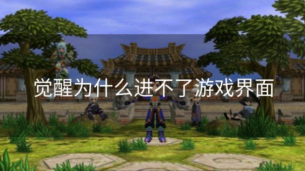 觉醒为什么进不了游戏界面 觉醒为什么进不了游戏界面