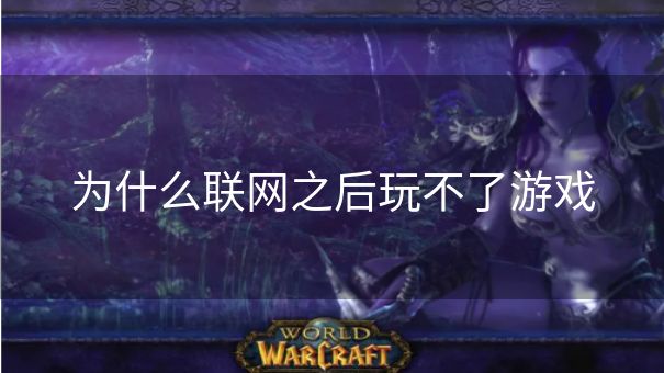 为什么联网之后玩不了游戏