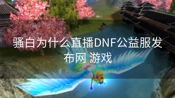 骚白为什么直播DNF公益服发布网 游戏