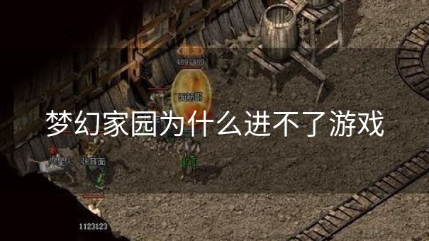梦幻家园为什么进不了游戏
