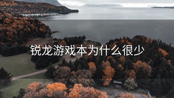 锐龙游戏本为什么很少