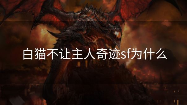 白猫不让主人奇迹sf为什么
