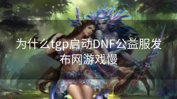 为什么tgp启动DNF公益服发布网游戏慢