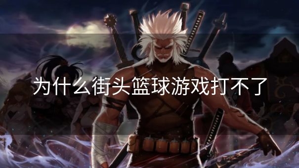 为什么街头篮球游戏打不了