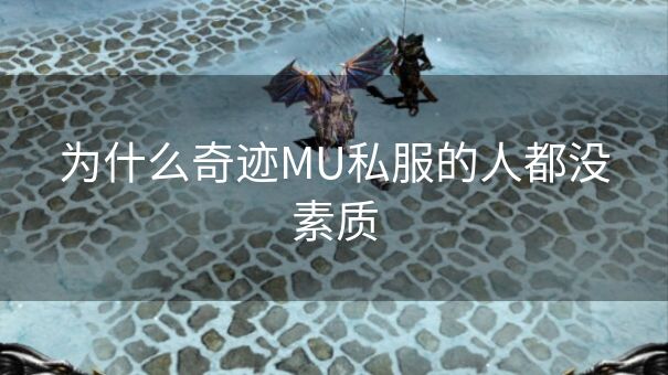 为什么奇迹MU私服的人都没素质