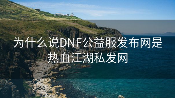 为什么说DNF公益服发布网是热血江湖私发网