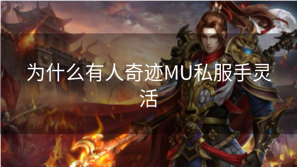 为什么有人奇迹MU私服手灵活