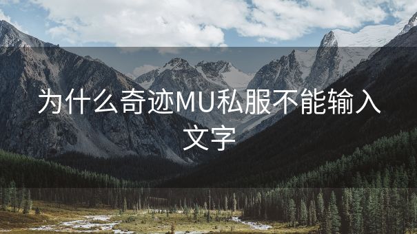 为什么奇迹MU私服不能输入文字