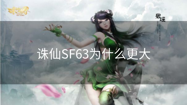 诛仙SF63为什么更大