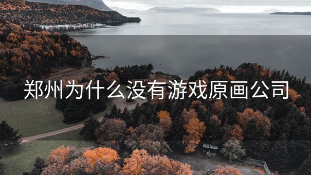 郑州为什么没有游戏原画公司