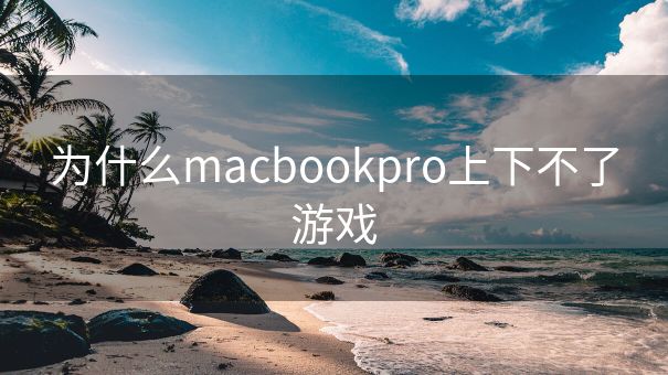 为什么macbookpro上下不了游戏