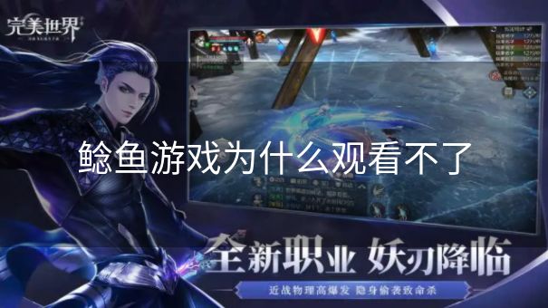鲶鱼游戏为什么观看不了