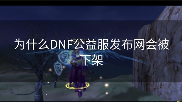 为什么DNF公益服发布网会被下架