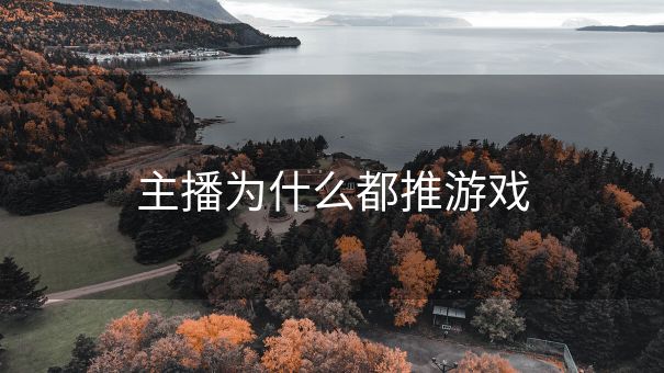 主播为什么都推游戏
