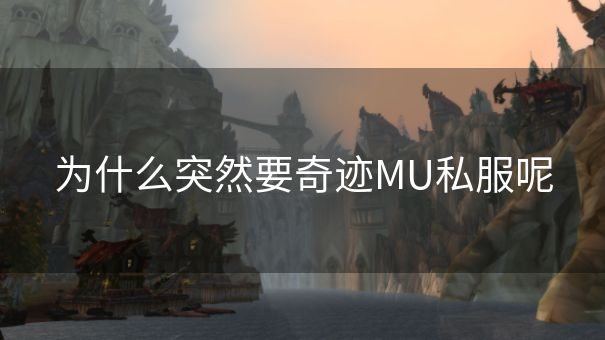 为什么突然要奇迹MU私服呢 为什么突然要奇迹MU私服呢