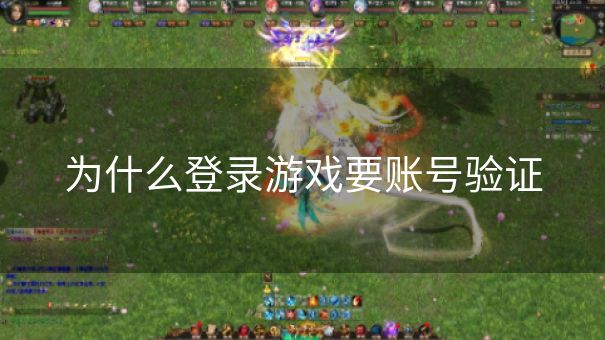 为什么登录游戏要账号验证