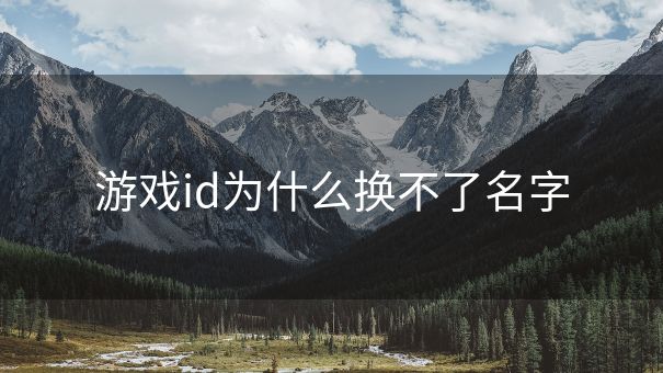 游戏id为什么换不了名字