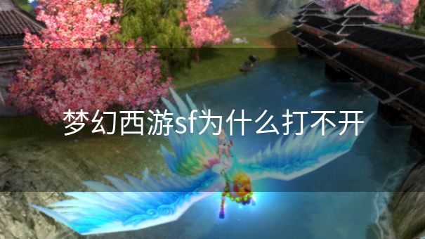 梦幻西游sf为什么打不开