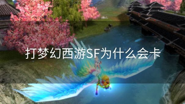 打梦幻西游SF为什么会卡