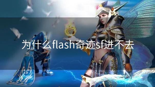 为什么flash奇迹sf进不去