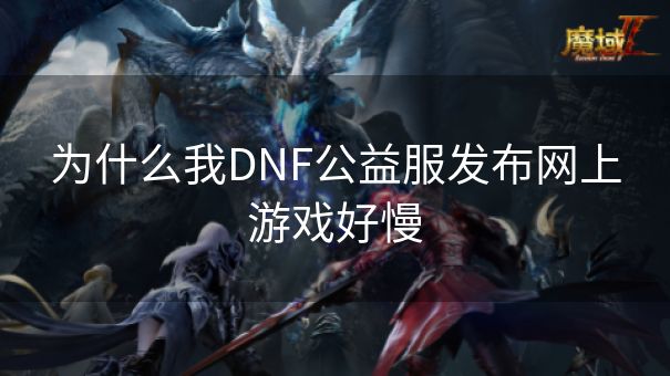 为什么我DNF公益服发布网上游戏好慢