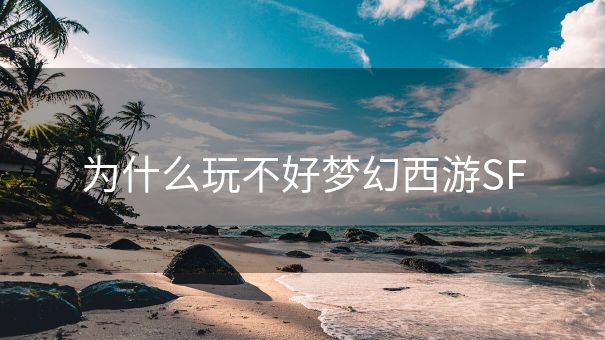 为什么玩不好梦幻西游SF