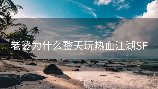 老婆为什么整天玩热血江湖SF