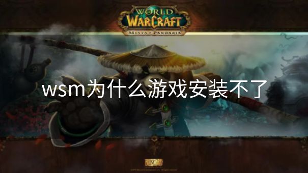 wsm为什么游戏安装不了