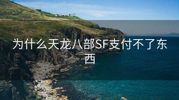 为什么天龙八部SF支付不了东西