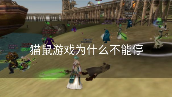 猫鼠游戏为什么不能停