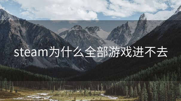 steam为什么全部游戏进不去