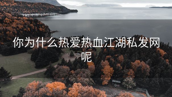 你为什么热爱热血江湖私发网呢