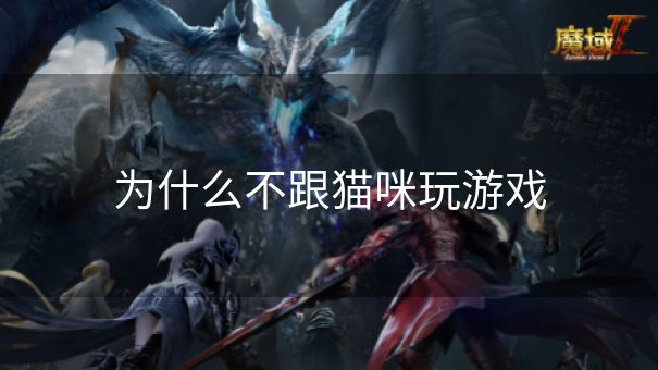 为什么不跟猫咪玩游戏 为什么不跟猫咪玩游戏