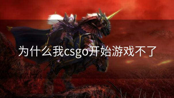 为什么我csgo开始游戏不了