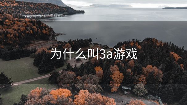 为什么叫3a游戏