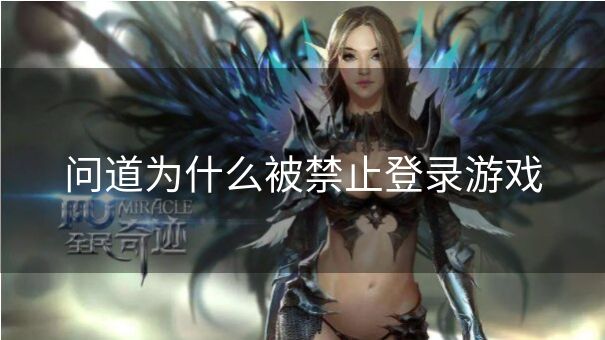 问道为什么被禁止登录游戏