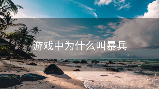 游戏中为什么叫暴兵