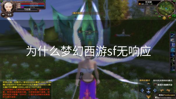 为什么梦幻西游sf无响应